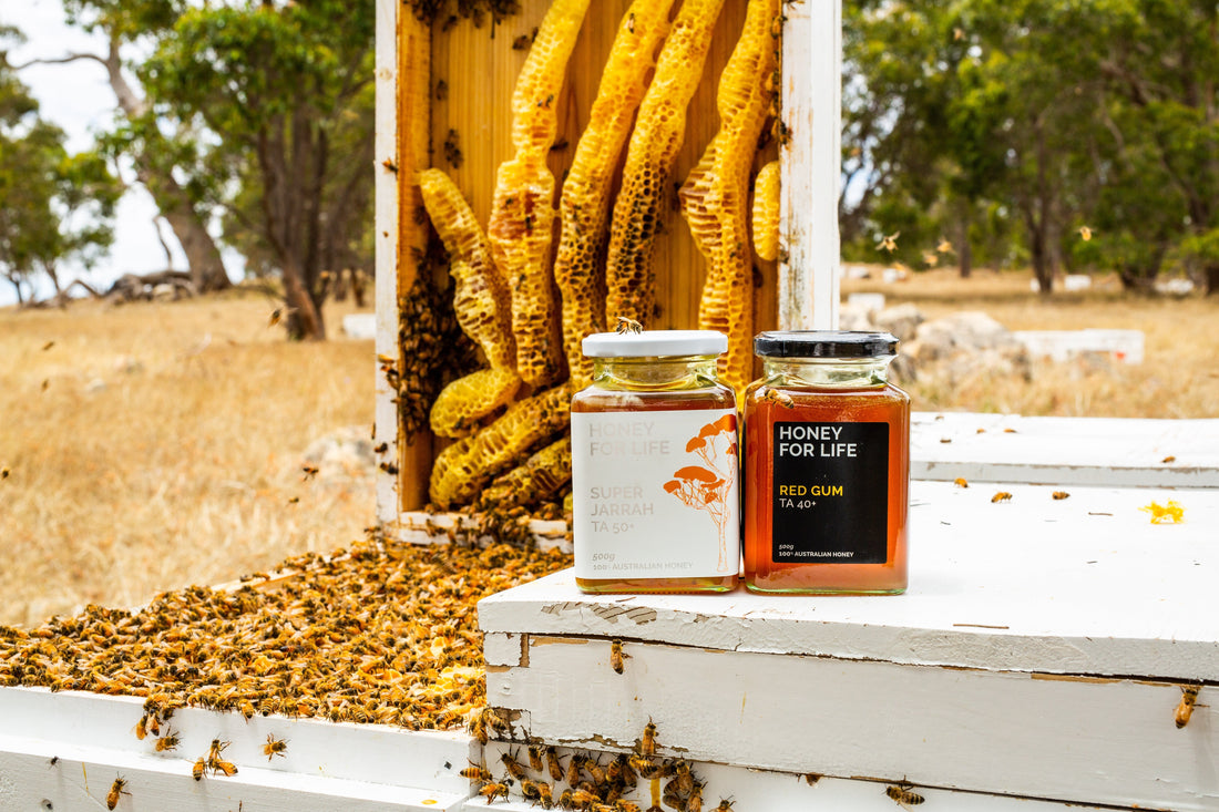 The Role of Bees in Biodiversity and Honey Production